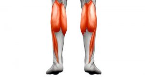 Sports Physio Ireland - What is a calf strain ? ○ Calf strain is usually  caused by overusing your calf muscles during repetitive activities  🏃🏻‍♂️🏃🏻‍♂️ ○ This condition commonly occurs in runners