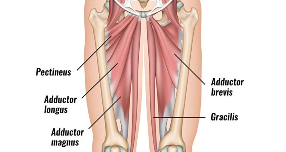 groin strain