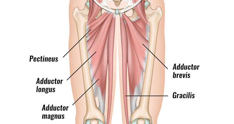 groin strain